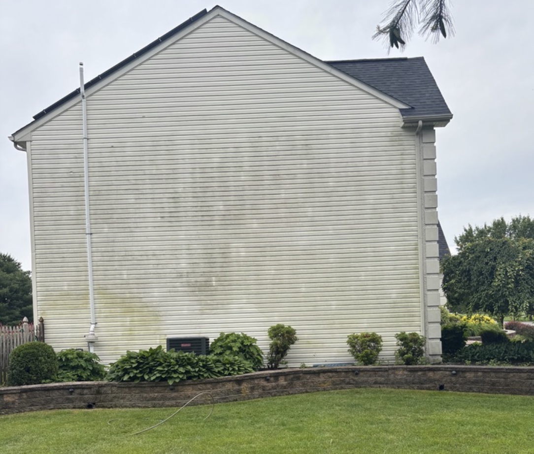 Before power washing - dirty house siding with stains